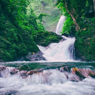 舞型舞秀果盘版下载